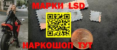 ПСИЛОЦИБИНОВЫЕ ГРИБЫ Новокубанск