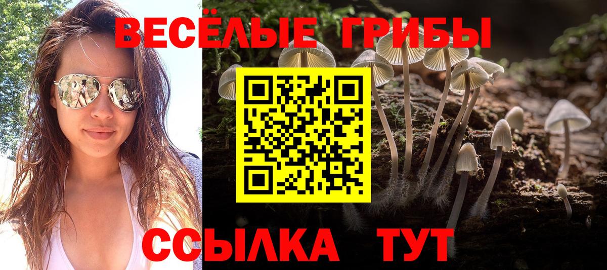 Псилоцибиновые грибы прущие грибы Батайск